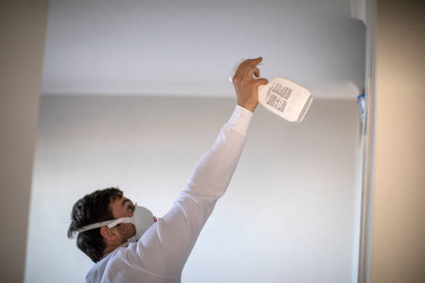 Professional Mold Removal in Wilmington, DE